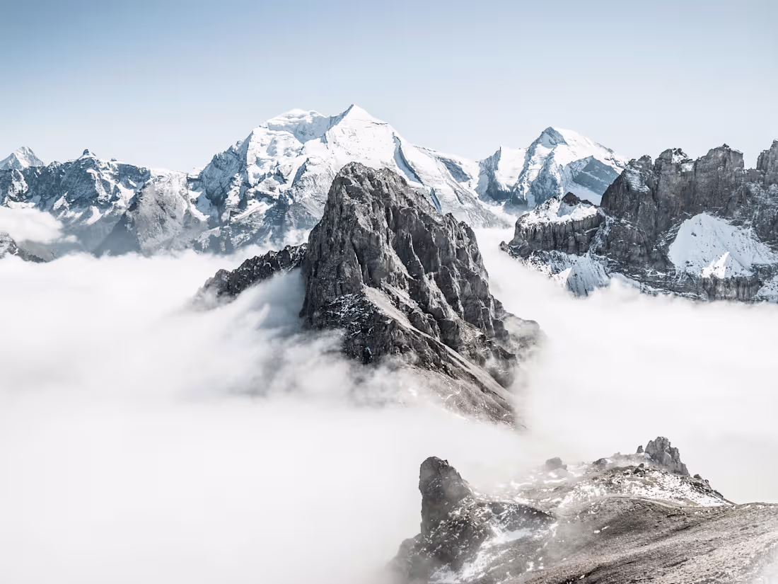 Cover image for SEO Writing for OVO Network