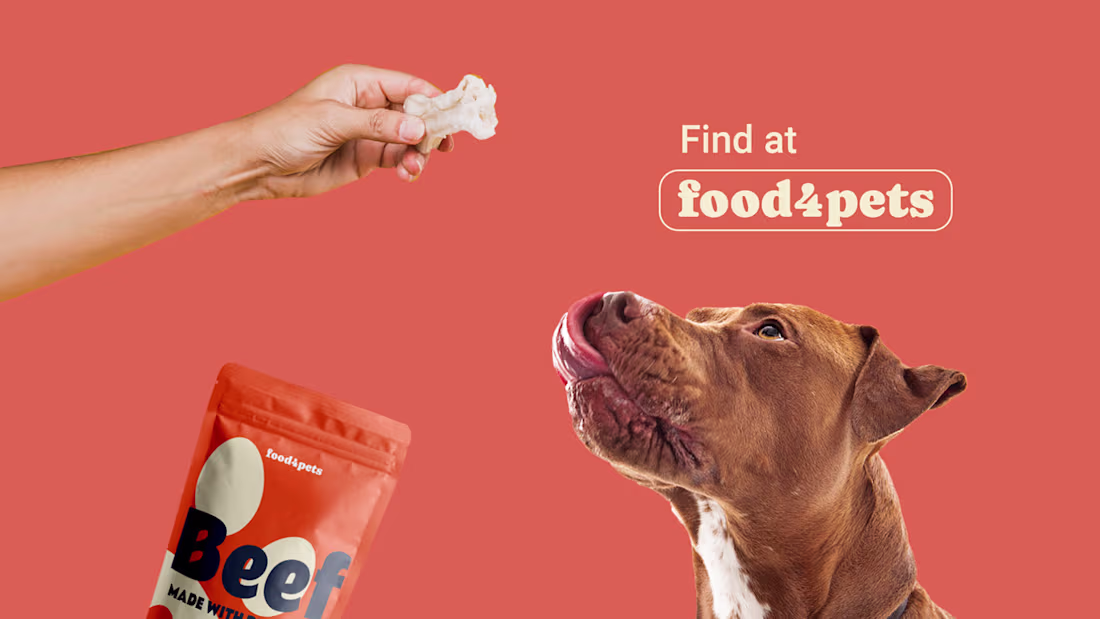 Cover image for Food 4 Pets