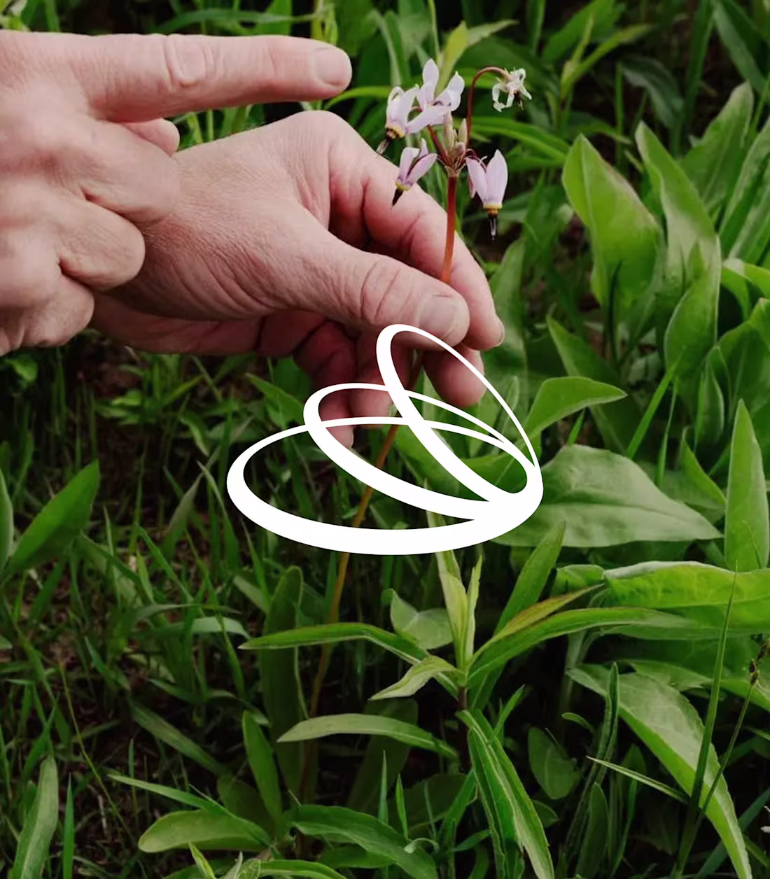 Cover image for REMAND — Brand Design Remand is a contemporary studio which ...