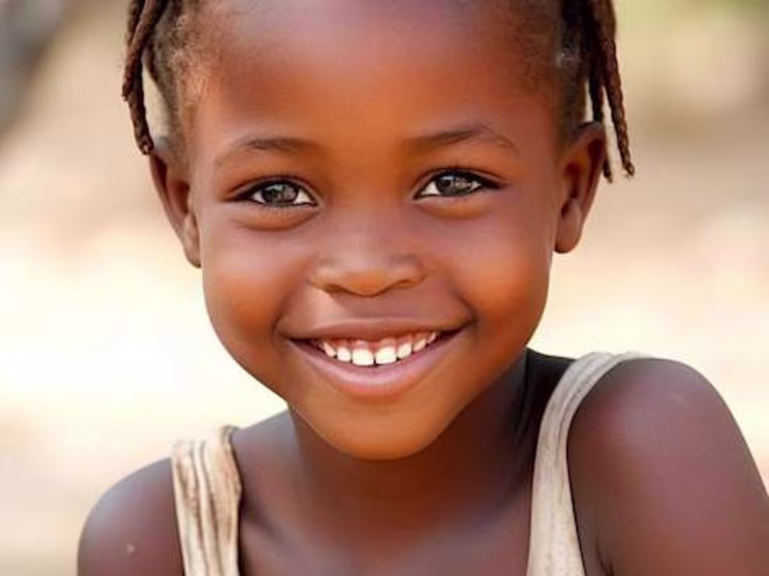 Cover image for The global village 