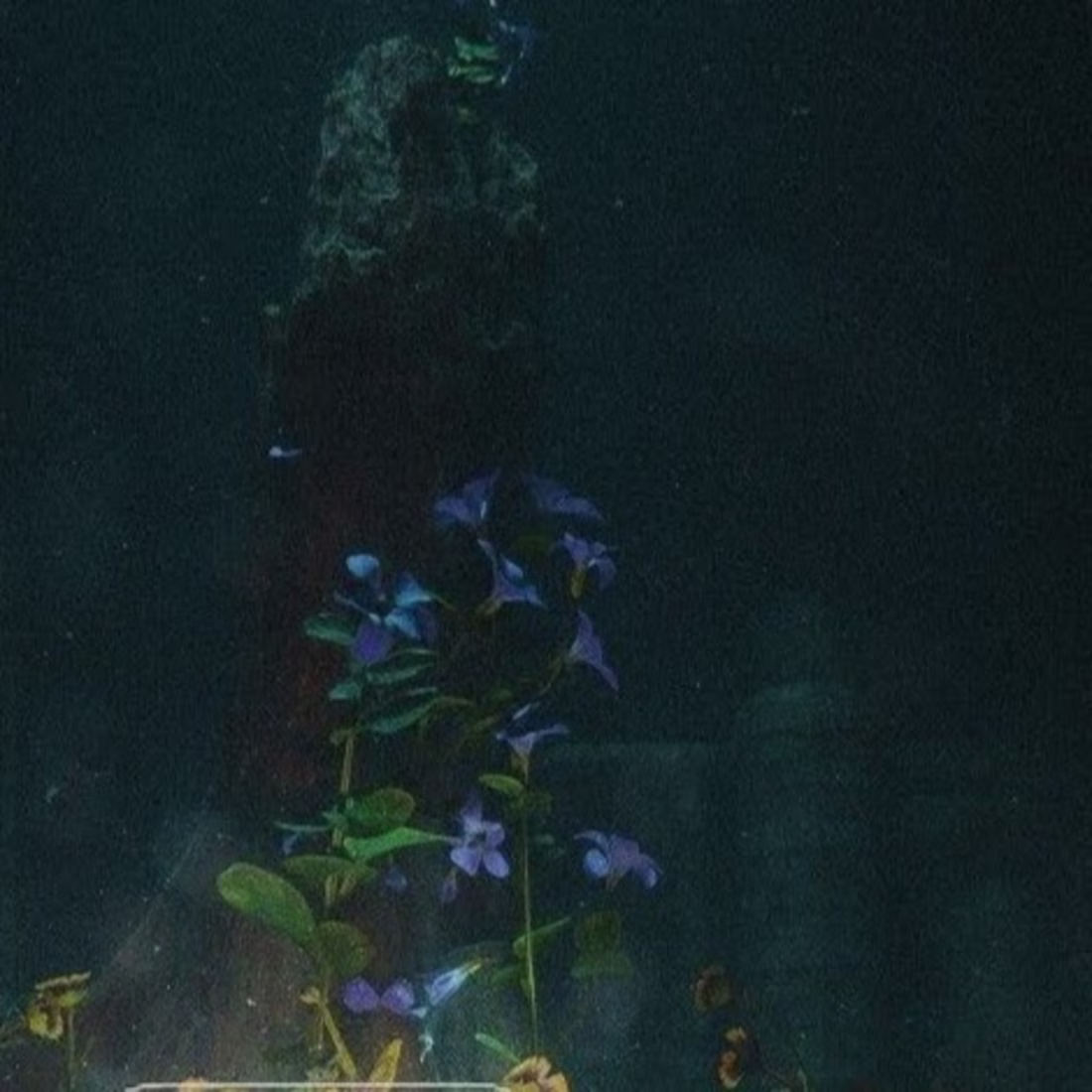 Cover image for Works about how important it