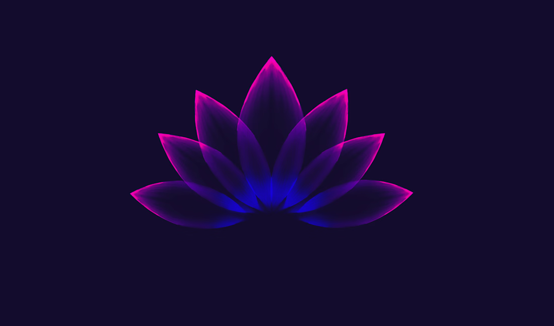 Cover image for Brand Guideline Design for Shreeva