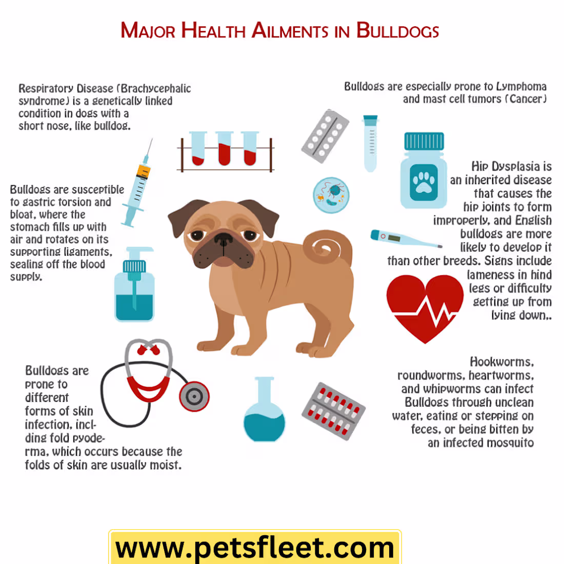 Cover image for infographics design 