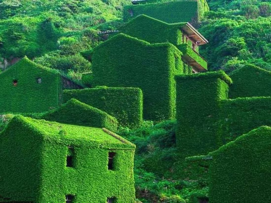 Cover image for Senior Content Design Lead