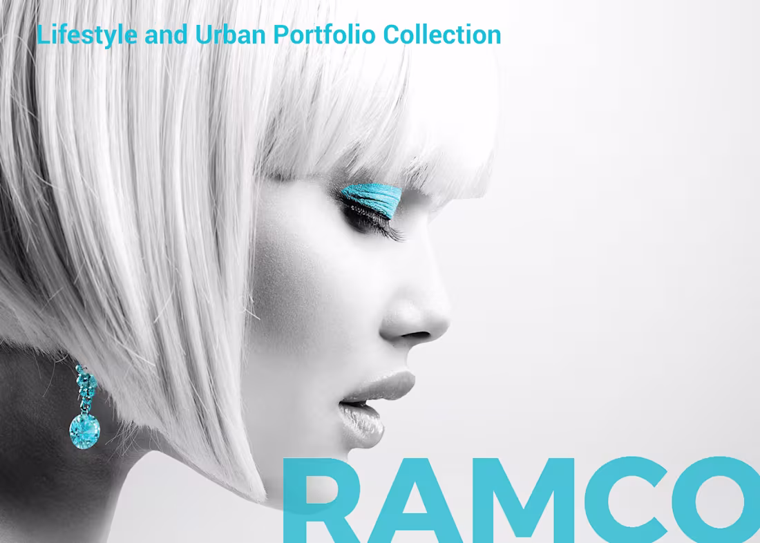 Cover image for Lifestyle & Urban Portfolio Collection Book