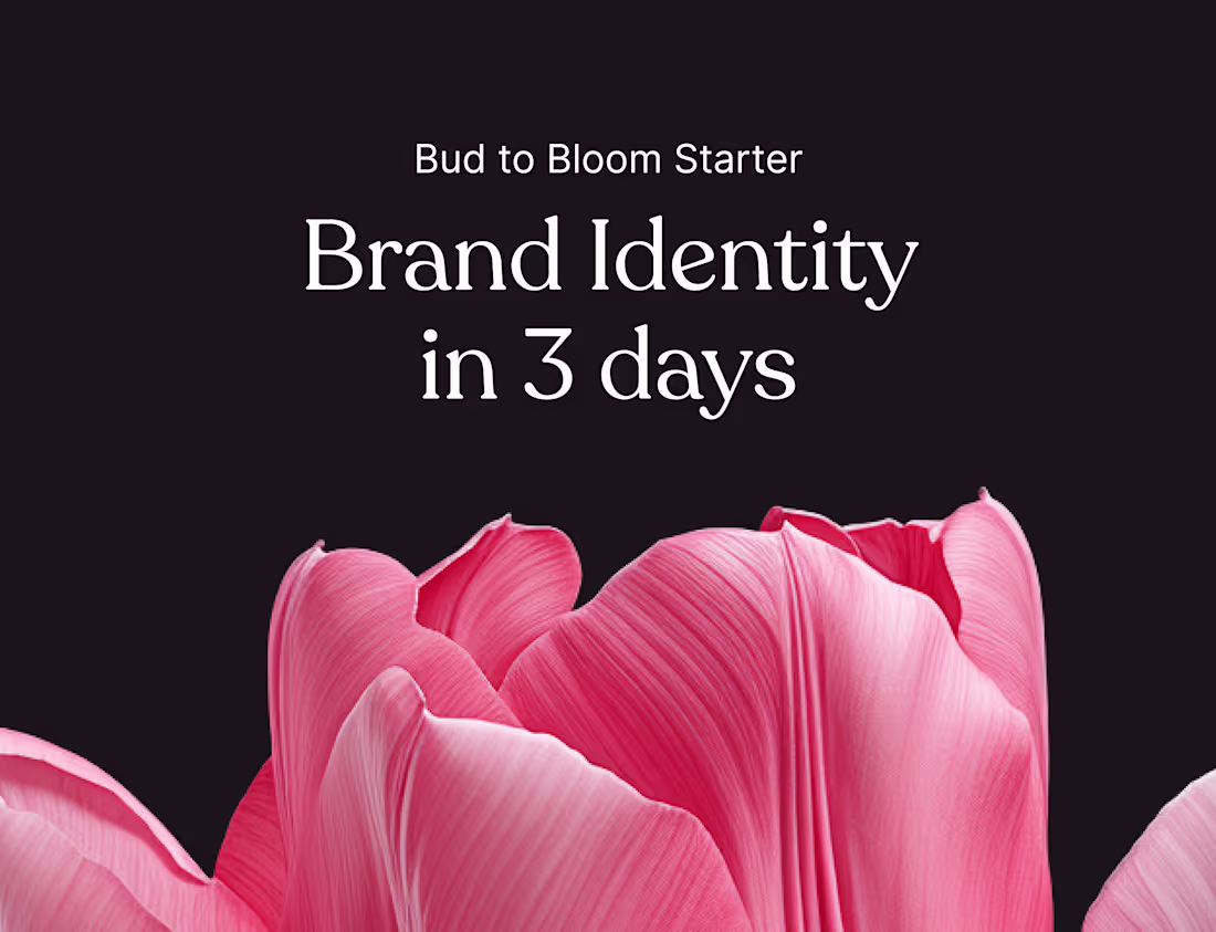 Cover image for Brand identity in 3 days: Bud to Bloom Starter 🌷