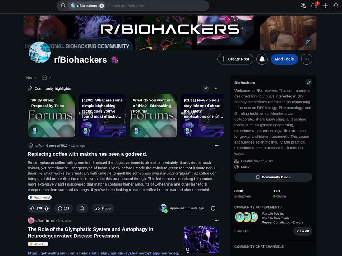 Cover image for Ageless Network State - Network State/Community Creation