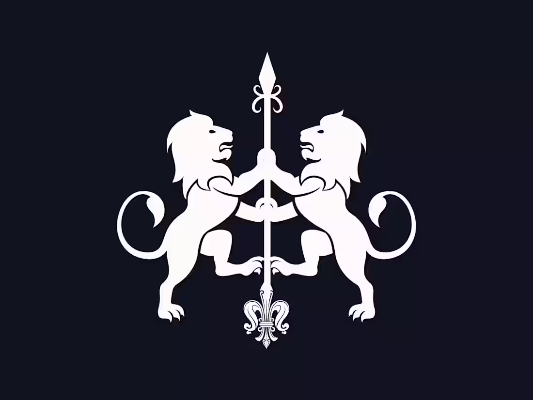 Cover image for Black Silver Capital: Venture Capital Studio