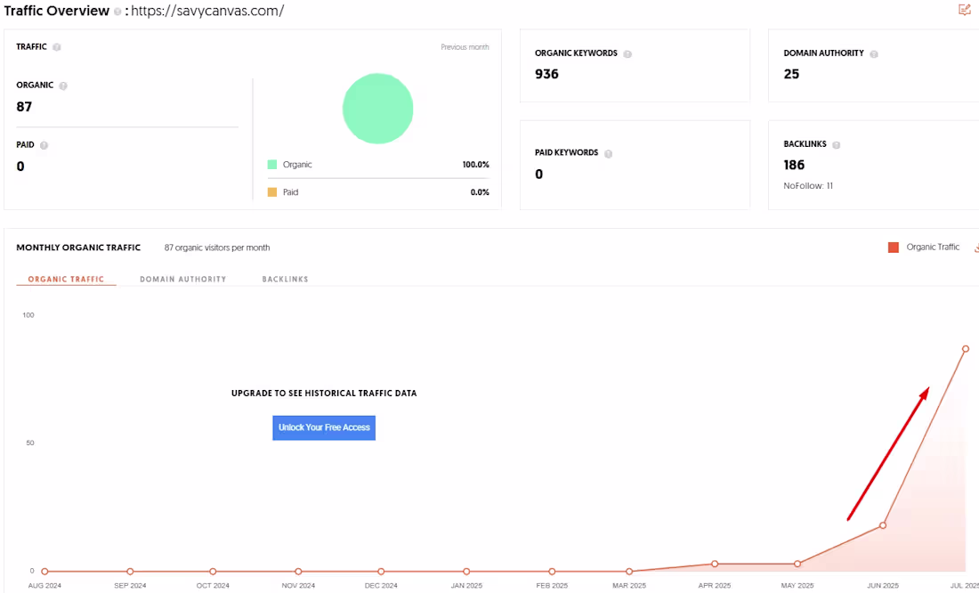 Cover image for Successful Project – Savy Canvas: Tiered Backlinks