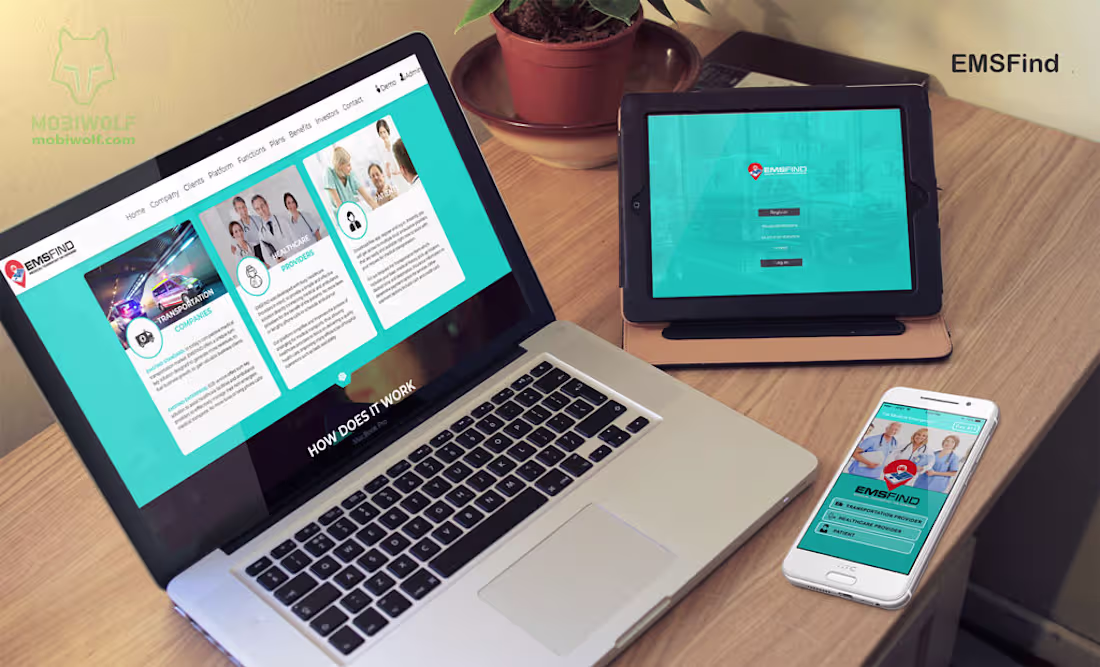 Cover image for EMS Find