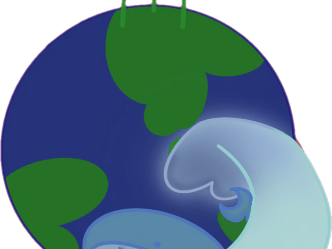 Cover image for ATTACC Organization Instagram