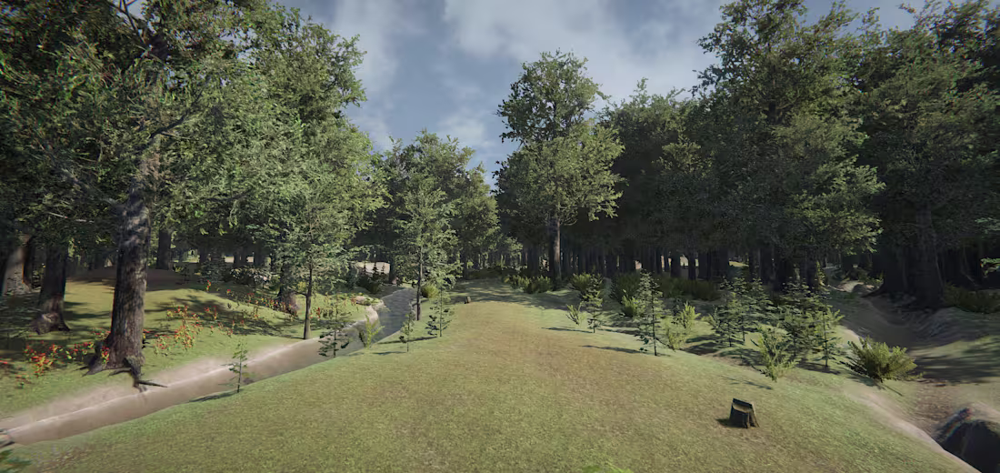 Cover image for Forest Scene