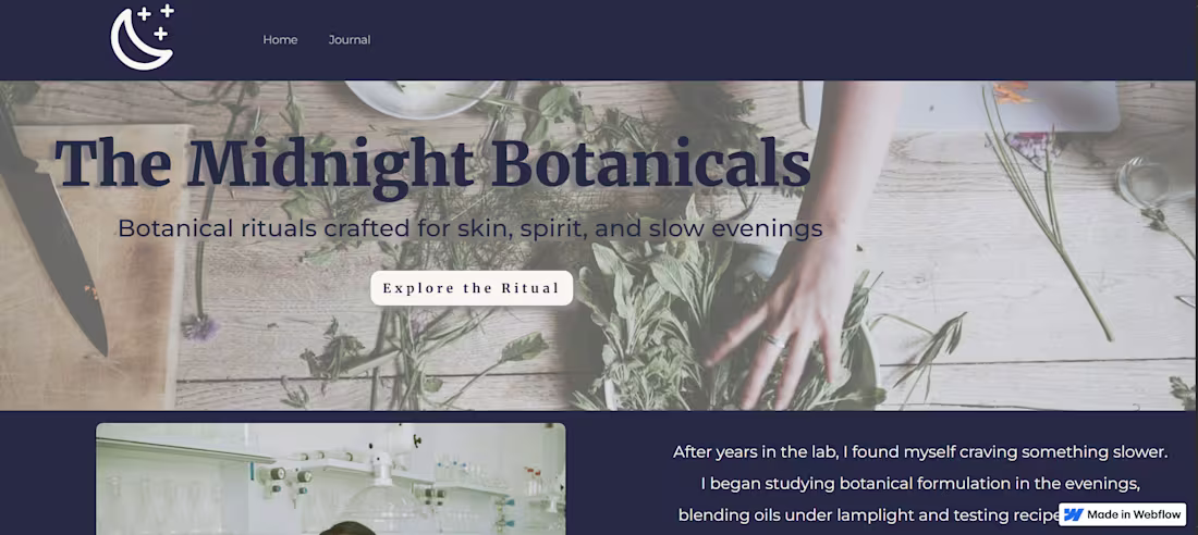 Cover image for FULL WEBFLOW WEBSITE – UP TO 5 PAGES