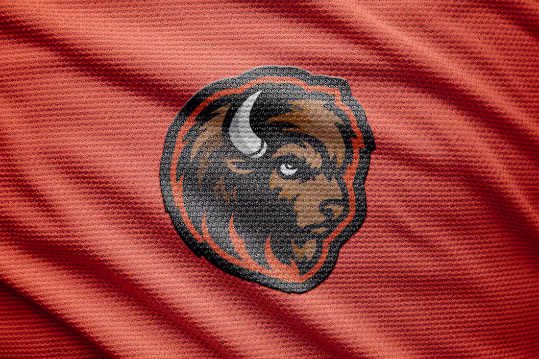 Cover image for Buffalo Mascot Logo 