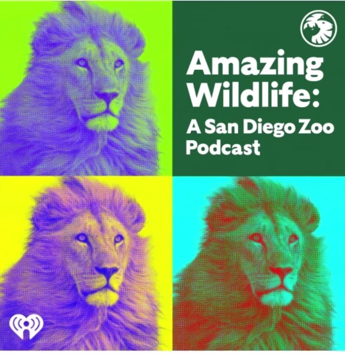Cover image for Amazing Wildlife: A San Diego Zoo Podcast (Case Study) 