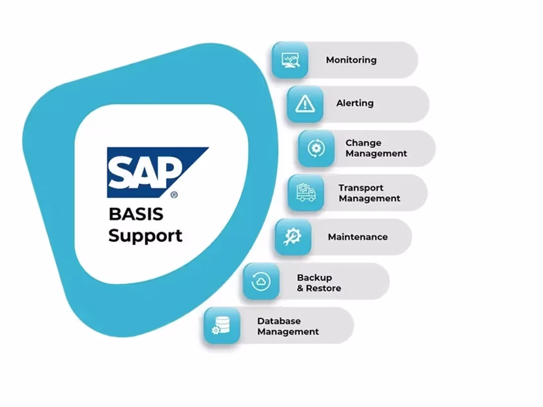 Cover image for I will provide sap basis support
