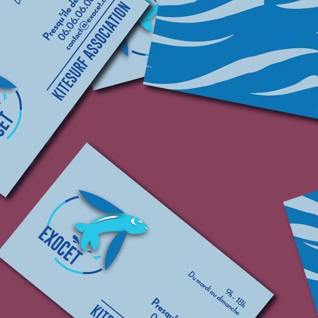 Cover image for Logo creation for kitesurf association 🐬