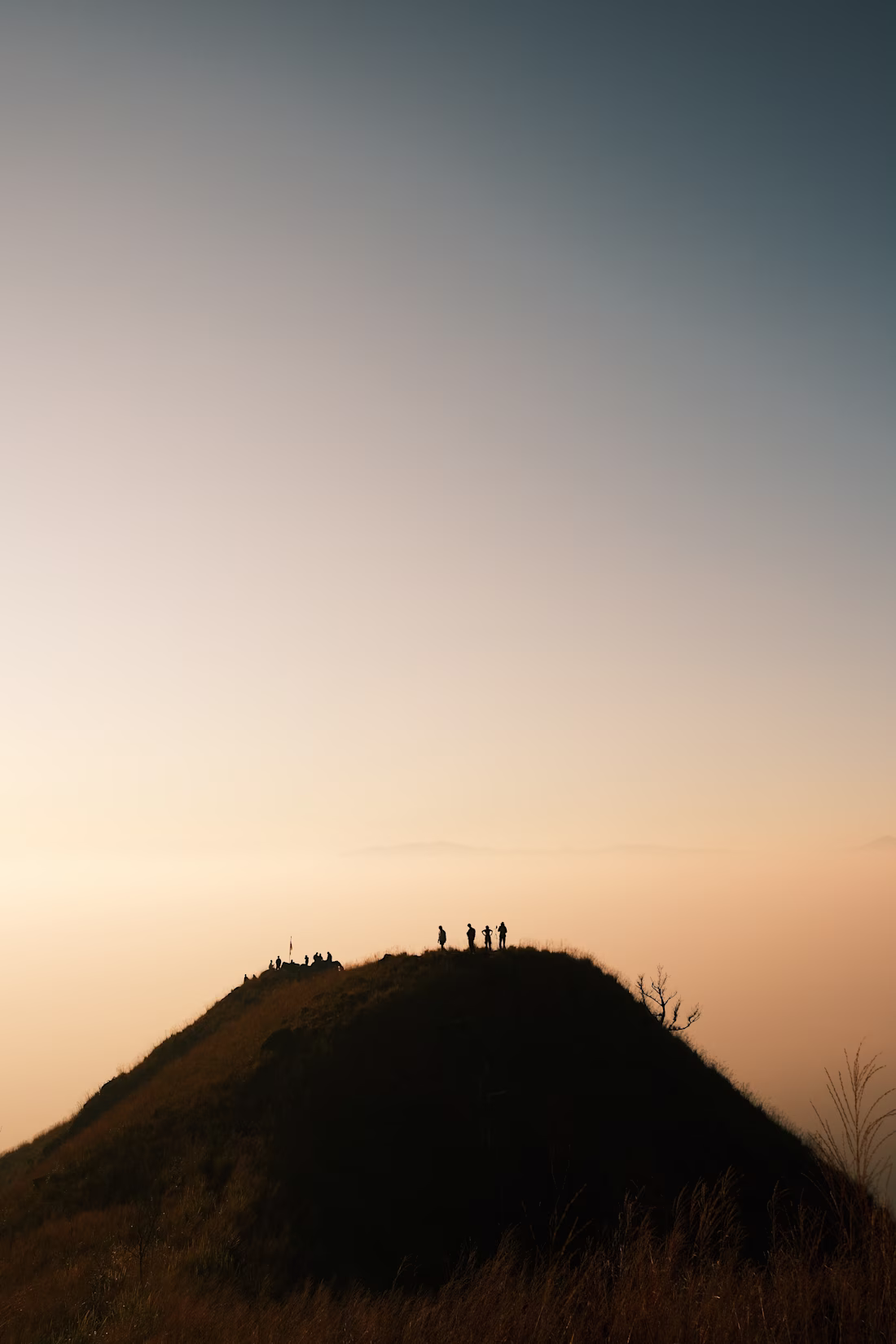 Cover image for Cinematic Video for Social Media