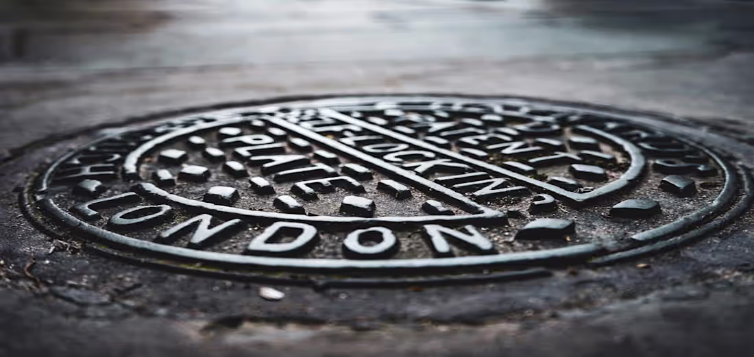 Cover image for London’s Great Stink