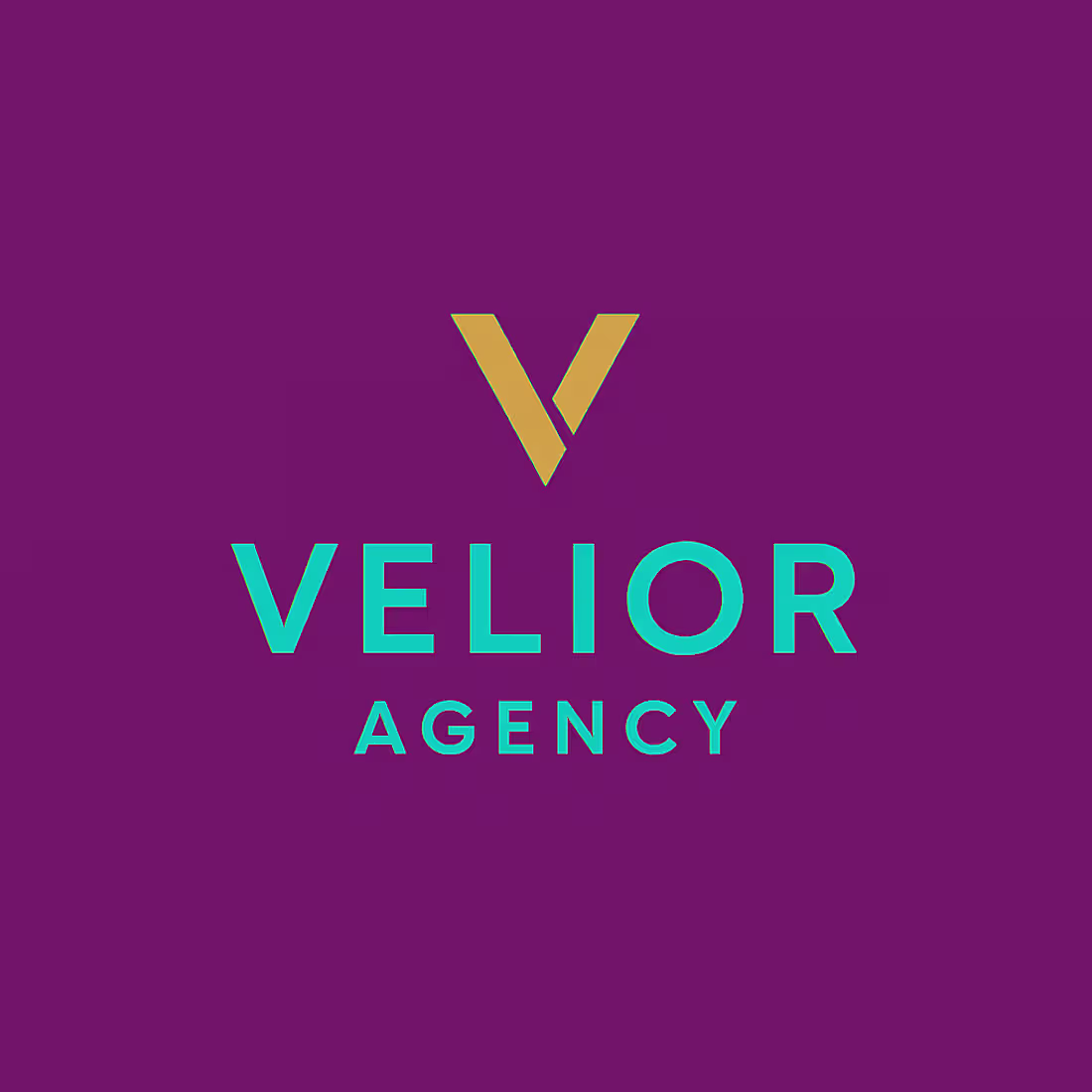 Cover image for Velior Agency Modern Minimalist Logo Design
