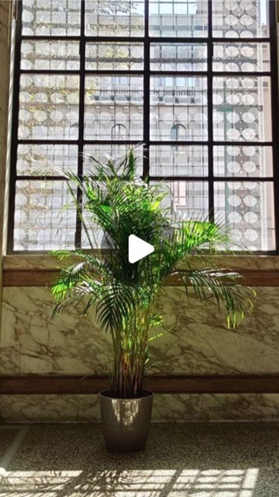 Cover image for Shopping in Primark