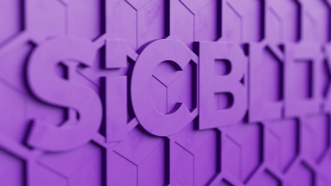 Cover image for Ovivo SiCBLOX