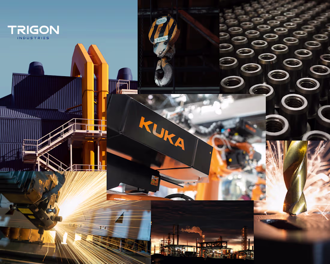 Cover image for TRIGON INDUSTRIES PROJECT 