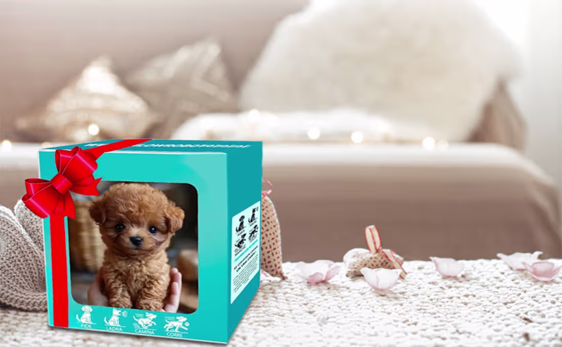 Cover image for Wuffy Robot Puppy Review SCAM EXPOSED By People!