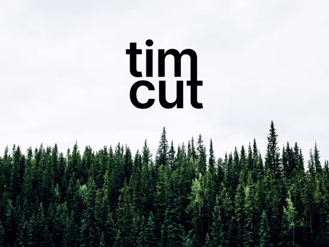 Cover image for Timcut 