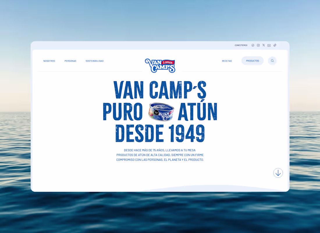 Cover image for Atún Van Camp's Website