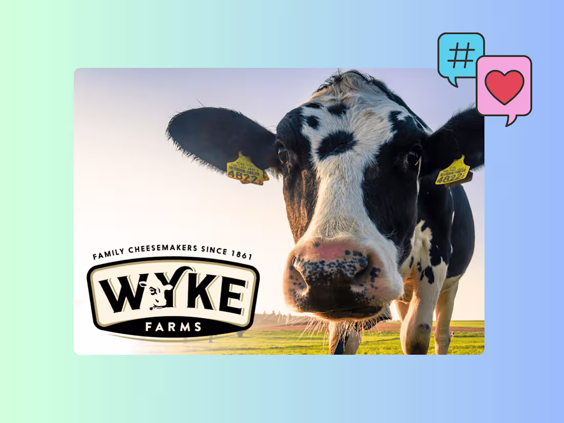 Cover image for Social Media Campaign & Copywriting | Wyke Farms 🧀