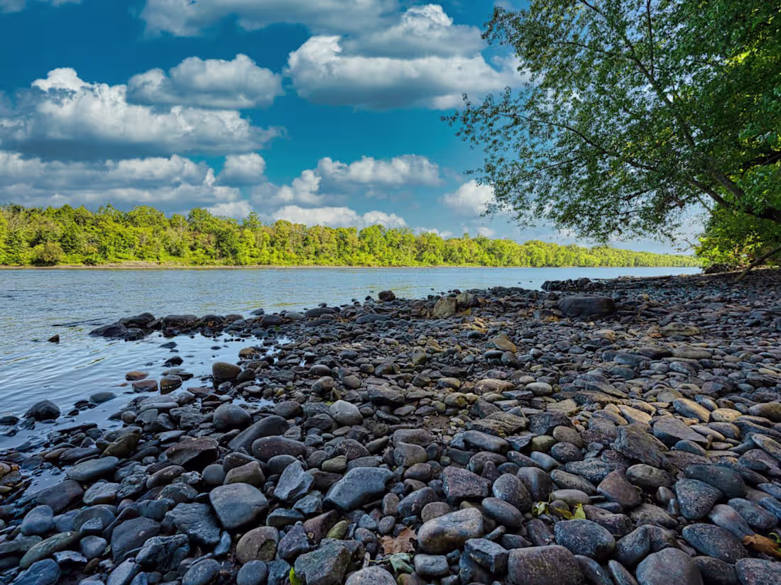 Cover image for Short-Form Reel – Informational Storytelling