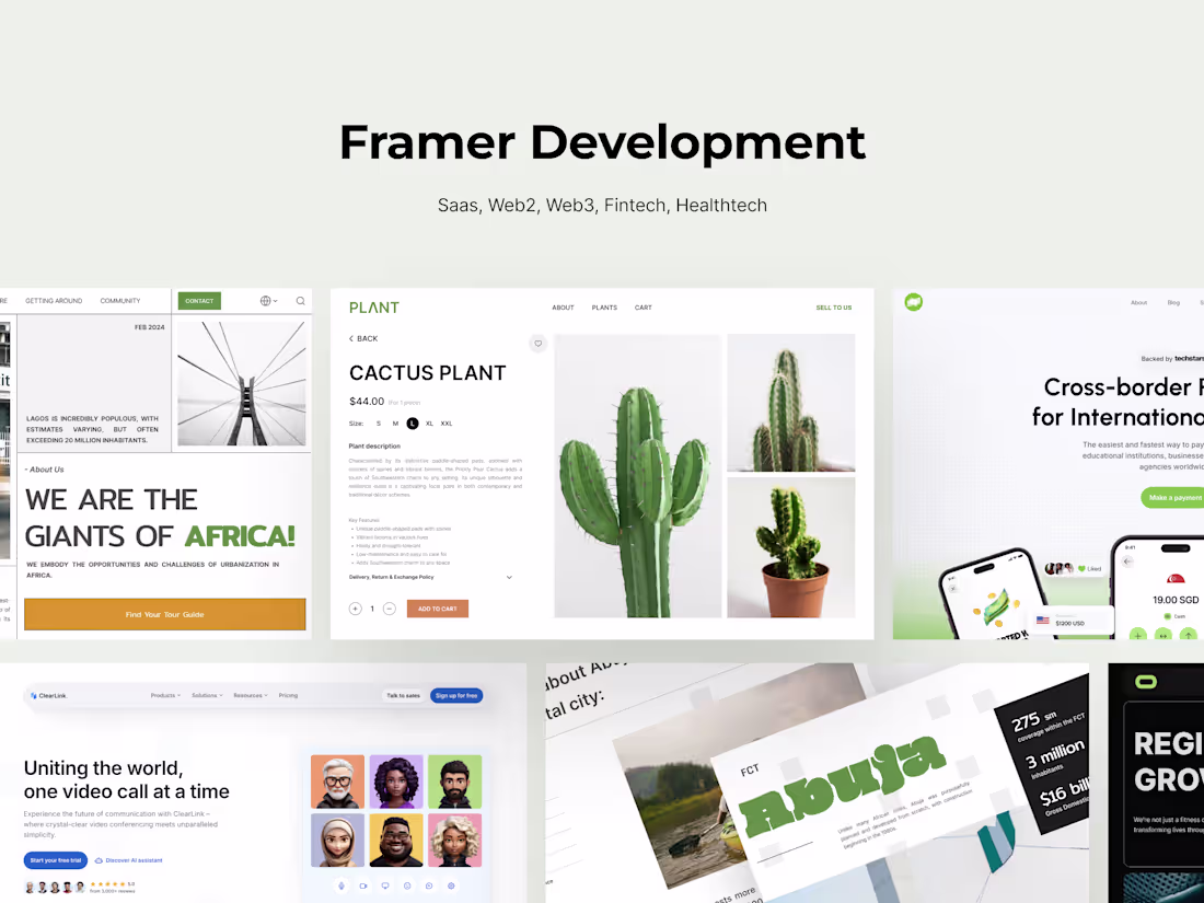 Cover image for Framer Development
