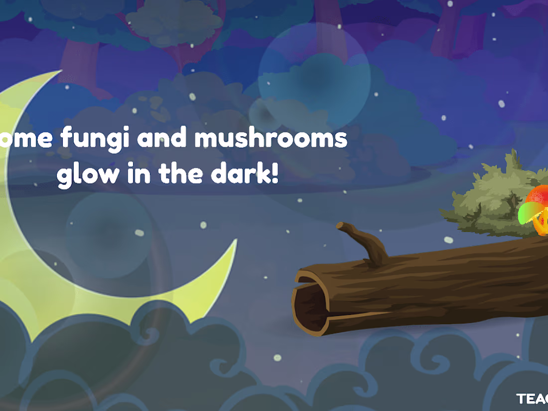 Cover image for VIDEO CONTENT 