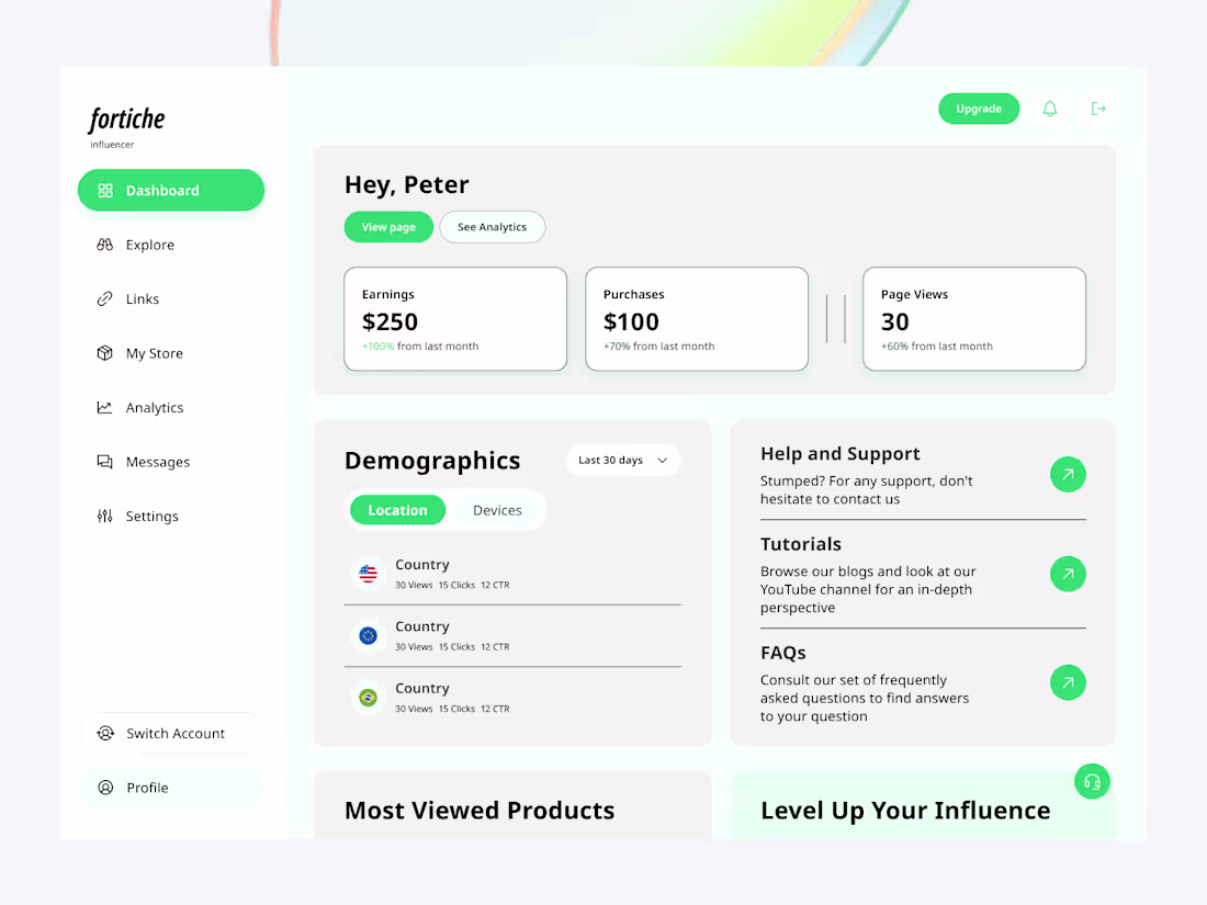 Cover image for Fortiche