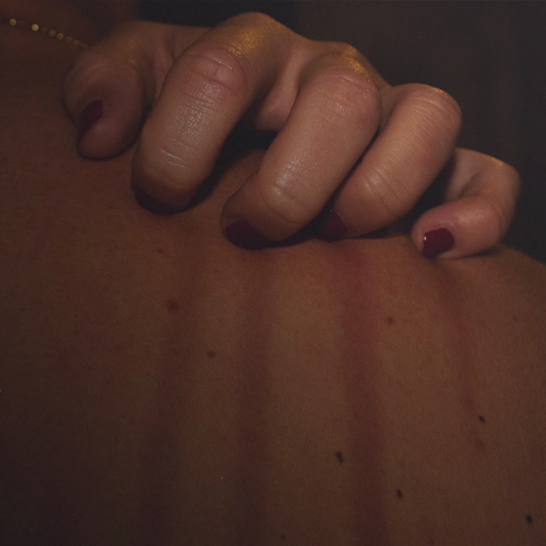 Cover image for Not now