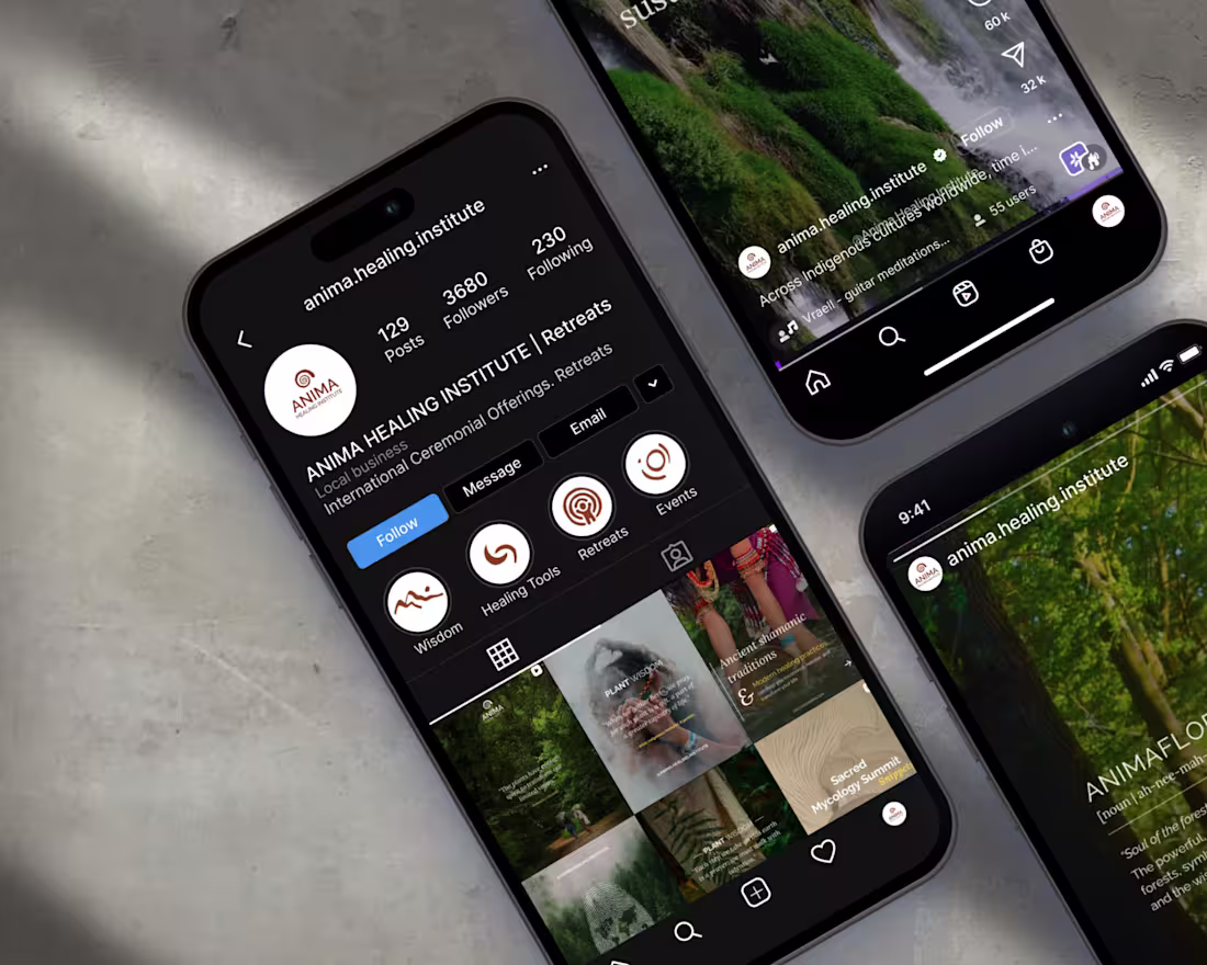 Cover image for Anima Healing Institute - Rebranding and Content Strategy