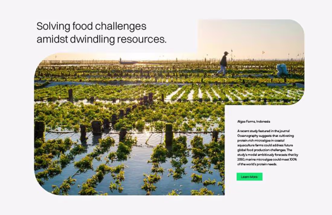 Cover image for Brand Collateral / Brand Add-Ons