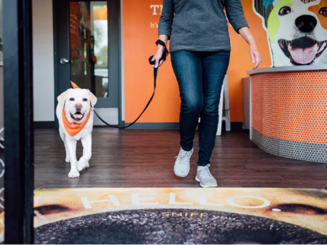 Cover image for Social Media Content Creator and Strategist