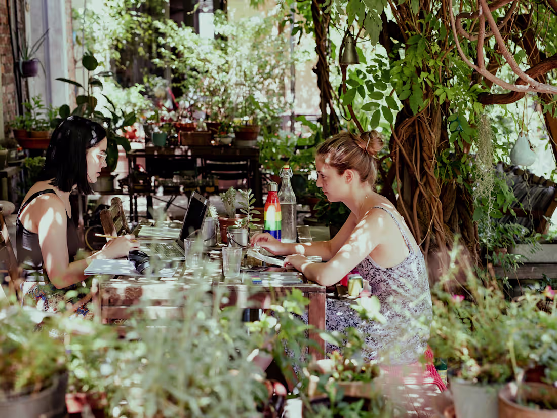 Cover image for The 3 Chance Rule