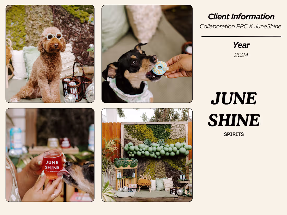 Cover image for Juneshine