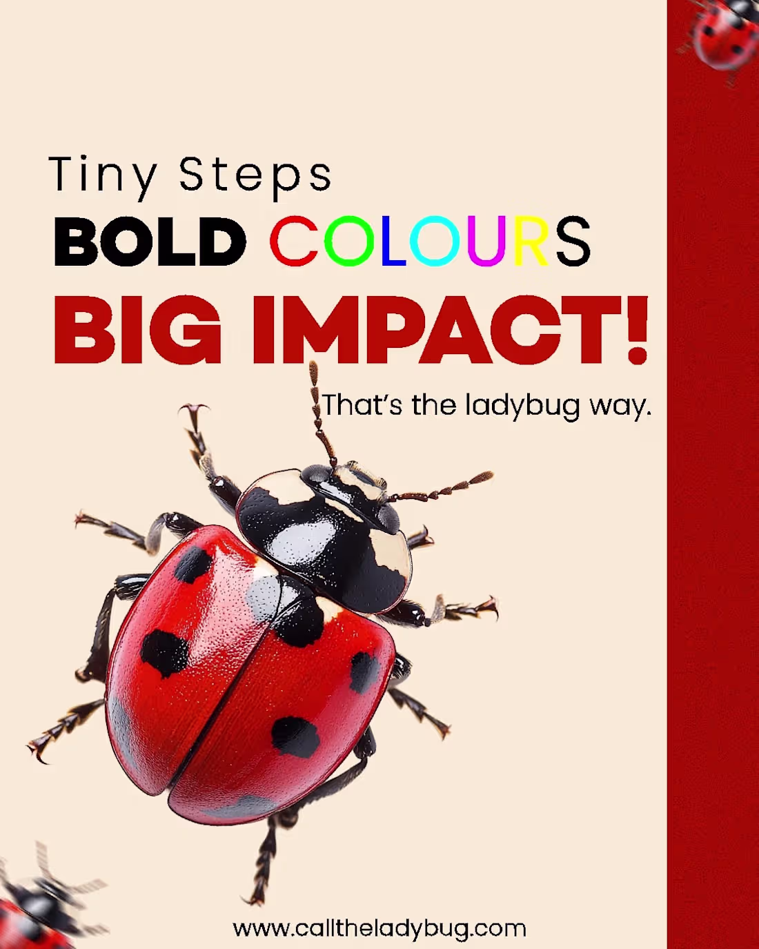 Cover image for Day 2.
Playing around with Topography