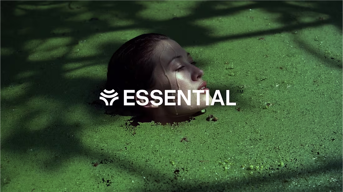 Cover image for Brand Identity Design for Essential