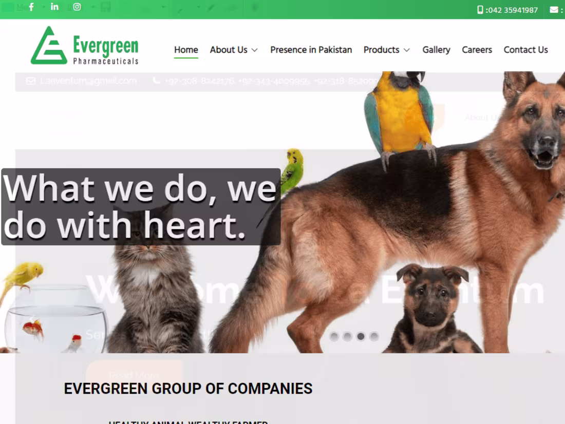 Cover image for Evergreen – Pharma
