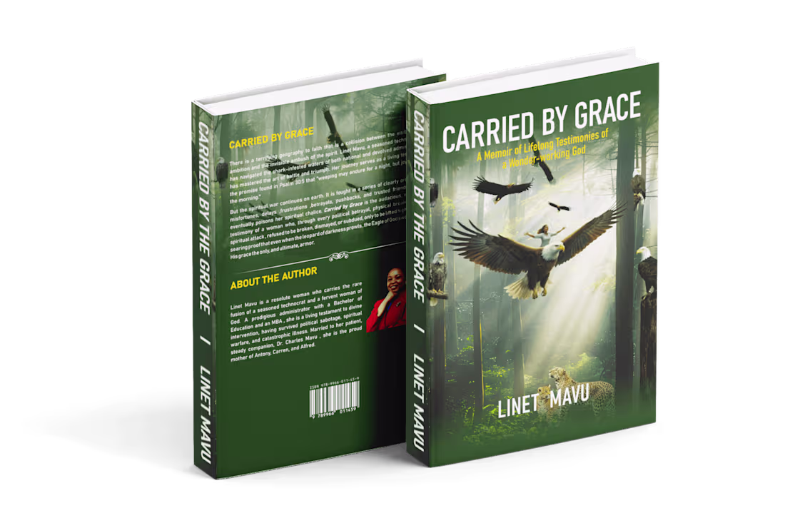 Cover image for Book cover design