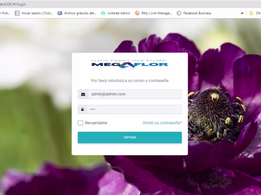 Cover image for Application development in Angular, Laravel, Lumen