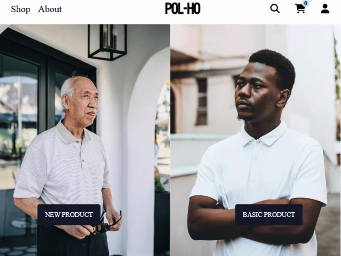 Cover image for POL-HO