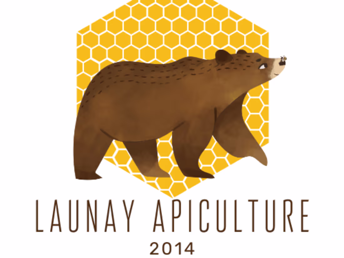 Cover image for Community management and graphic chart