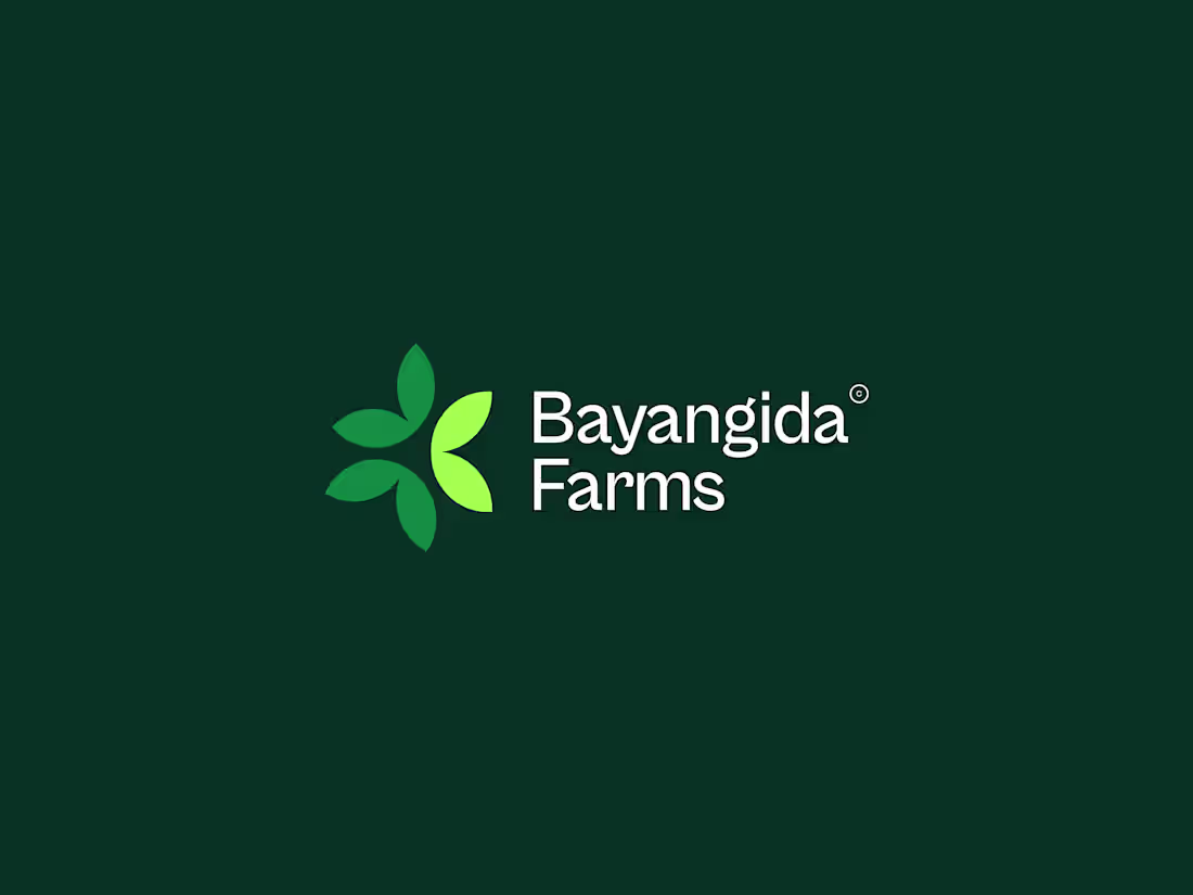 Cover image for Dynamic Logo Animation for Bayangida Farms