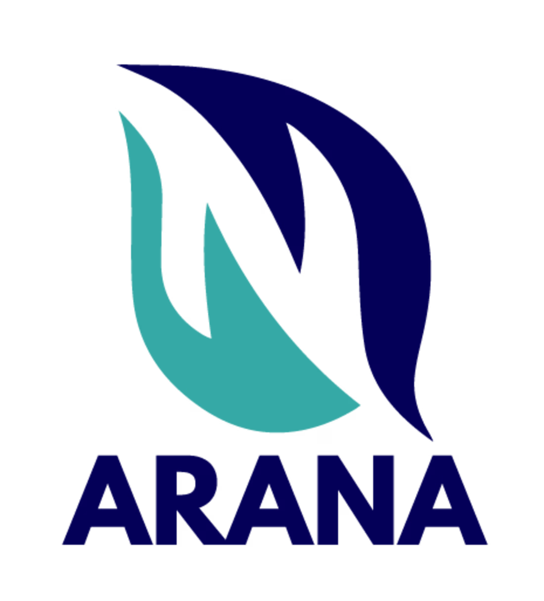Cover image for Arana Nusantara